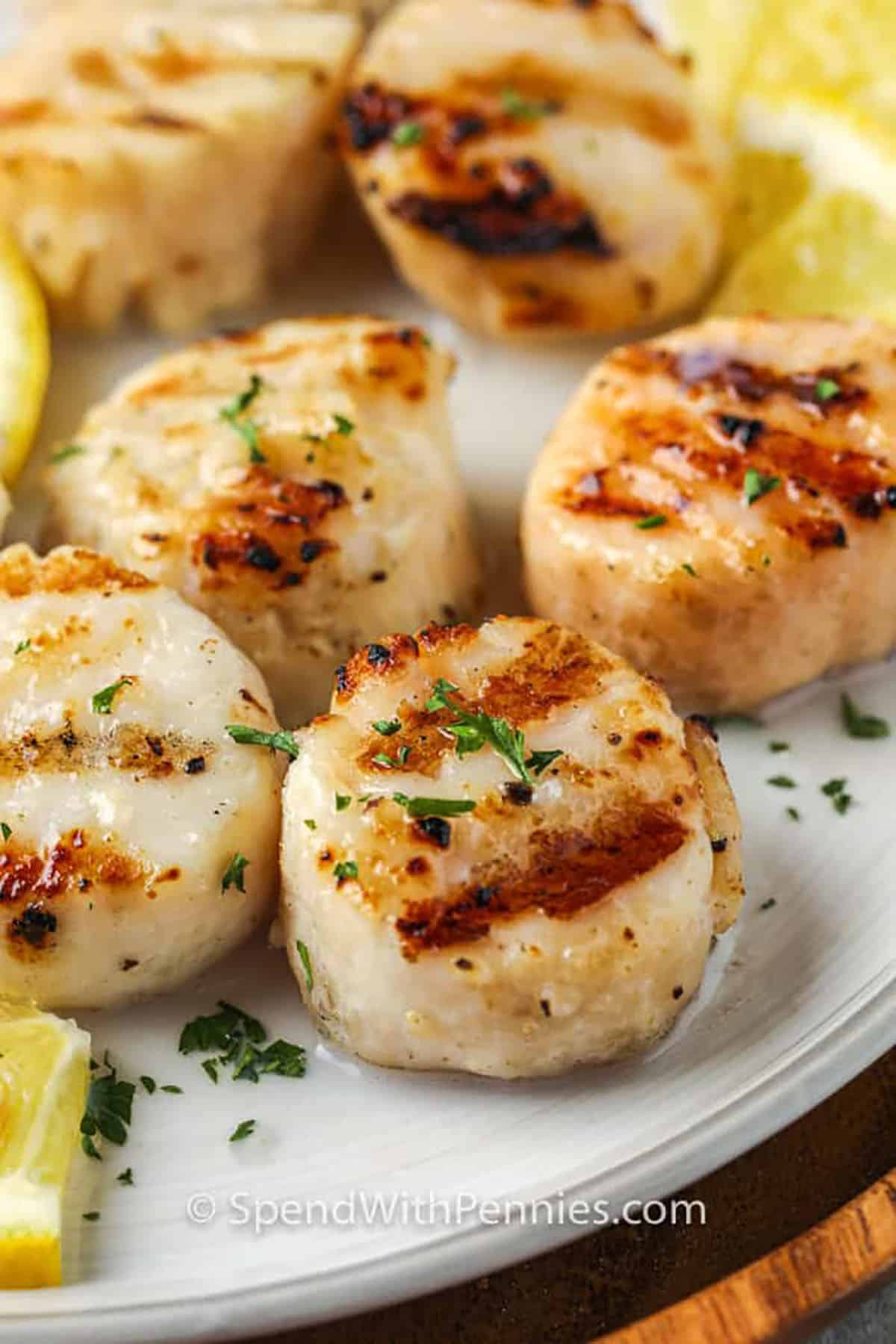 Restaurant-Quality Grilled Scallops for Elegant & Fast Dinners